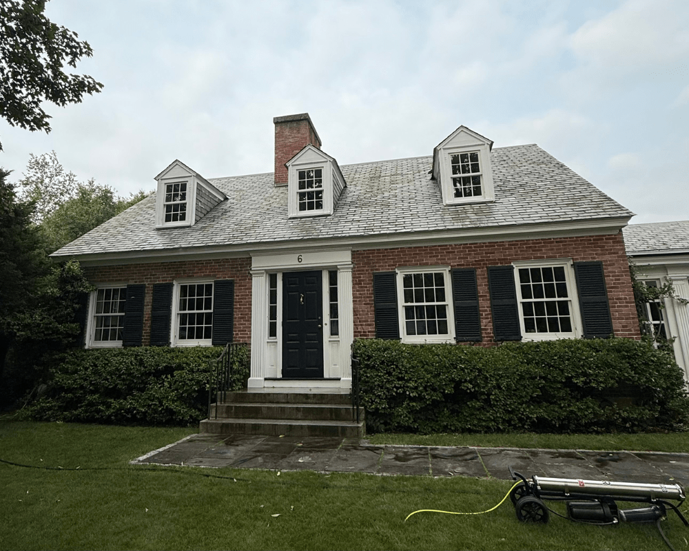 COMMERCIAL WINDOW CLEANING example 6