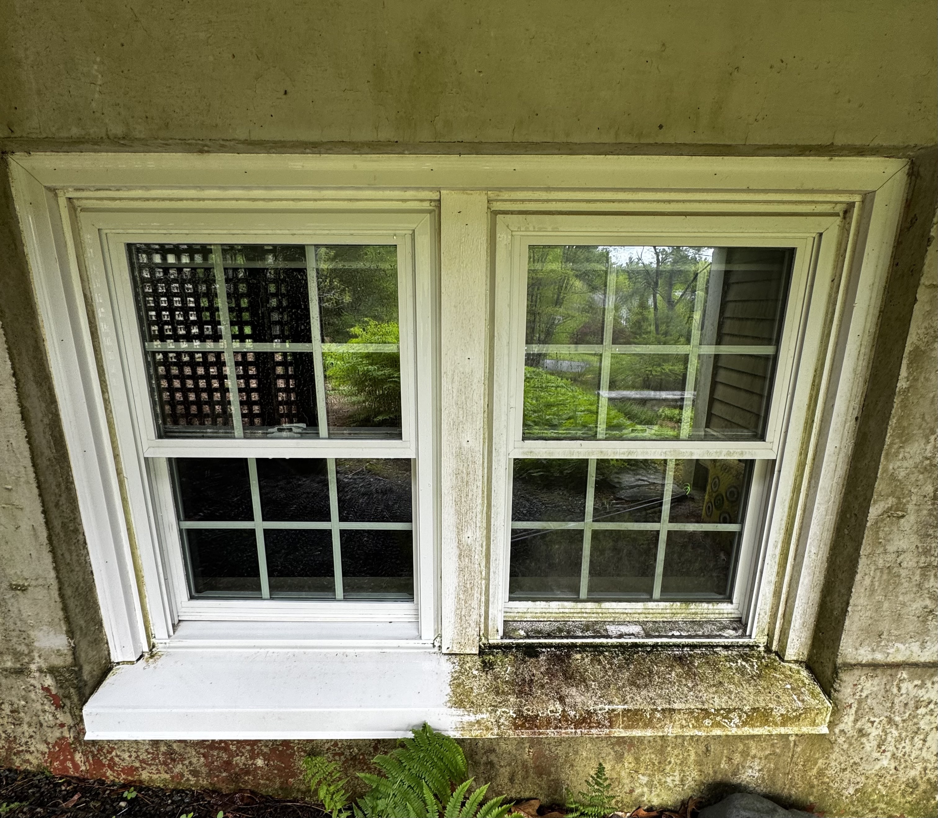 Professional PROFESSIONAL WINDOW CLEANING
